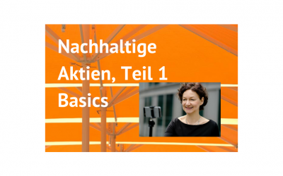 Nachhaltige Aktien, Teil 1: Basics